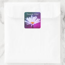 Una Flor De Daisy Gracias