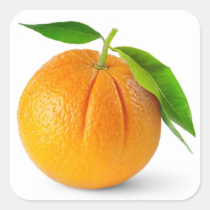 Pegatina Cuadrada Una fruta naranja con hojas