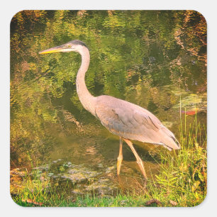 Pegatina Cuadrada Una garza azul