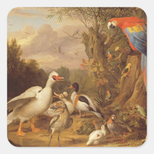 Pegatina Cuadrada Una macana, patos, loros y otras aves en tierra