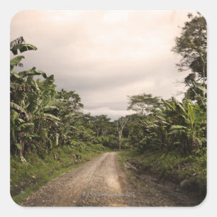 Pegatina Cuadrada Una remota carretera de la jungla
