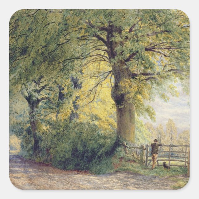 Pegatina Cuadrada Under the Beeches (Anverso)