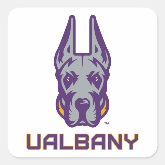 Pegatina Cuadrada Universidad de Albany Great Danes (Anverso)