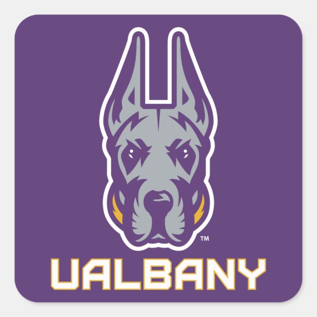 Pegatina Cuadrada Universidad de Albany Great Danes (Anverso)