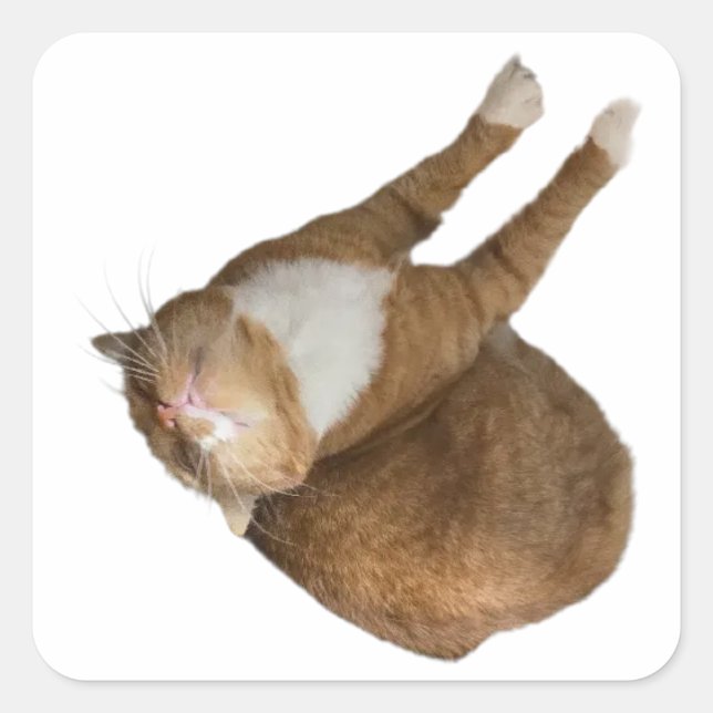 Pegatina Cuadrada Upside-Down Sunshine (Anverso)