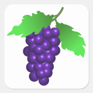 Pegatina Cuadrada Uvas