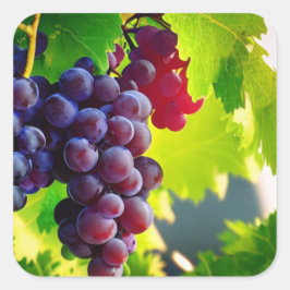 Pegatina Cuadrada Uvas