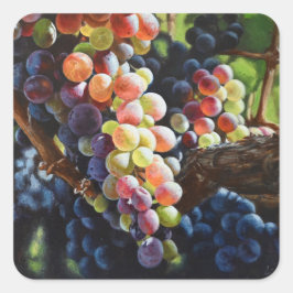 Pegatina Cuadrada Uvas de abundancia para amantes del vino y bodegas