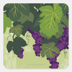 Pegatina Cuadrada Uvas en el vino