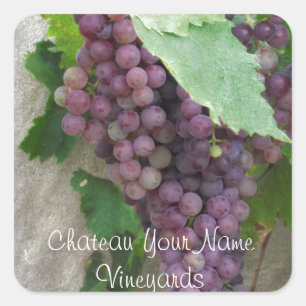 Pegatina Cuadrada Uvas moradas en el vino