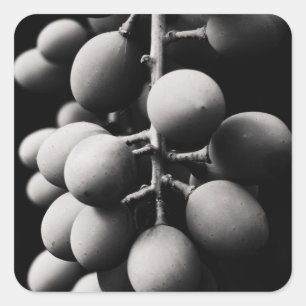 Pegatina Cuadrada uvas para un día agrio