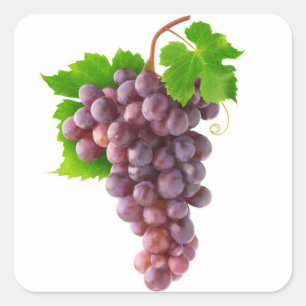 Pegatina Cuadrada Uvas rojas