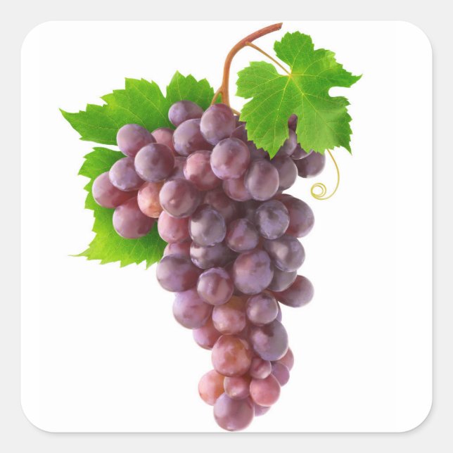 Pegatina Cuadrada Uvas rojas (Anverso)