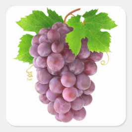 Pegatina Cuadrada Uvas rojas