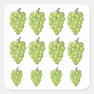 Pegatina Cuadrada Uvas Verdes