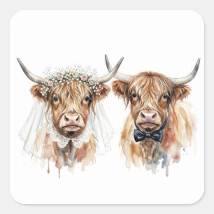 Pegatina Cuadrada Vacas Highland de boda en acuarela