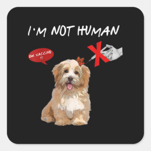 Pegatina Cuadrada Vacuna nueva: No soy un regalo de perro chih zu hu