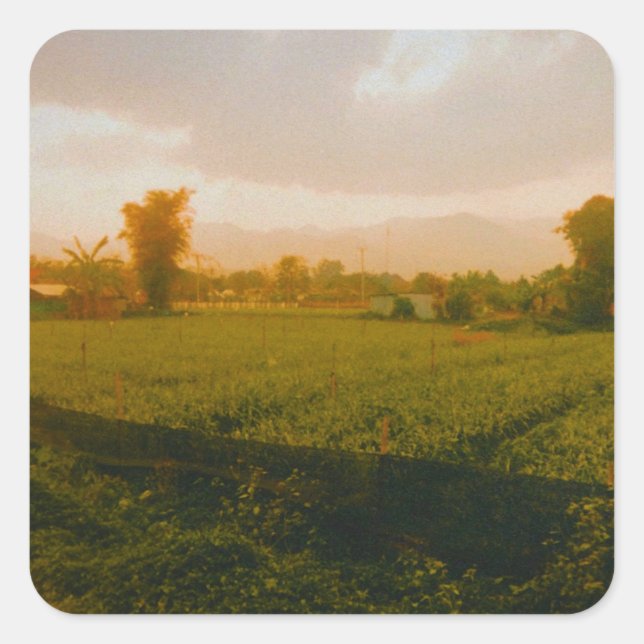 Pegatina Cuadrada Vang Vieng - Laos  (Anverso)