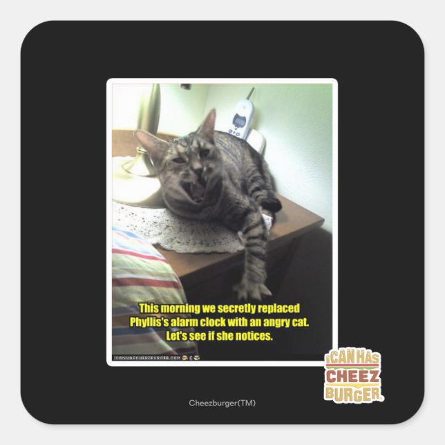 Pegatina Cuadrada Veamos si se da cuenta. (Anverso)