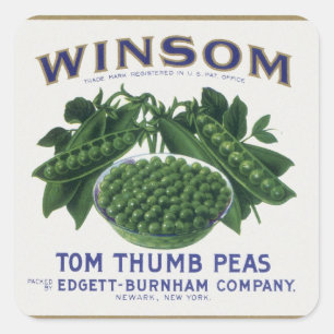 Pegatina Cuadrada Vegetable Vintage puede etiquetar el arte y los gu