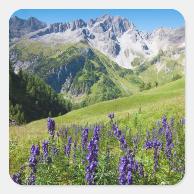 Pegatina Cuadrada Vegetales de verano con monje en primer plano, el (Anverso)