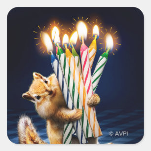 Pegatina Cuadrada Velas de cumpleaños de ardilla