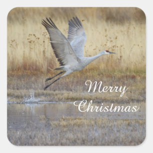 Pegatina Cuadrada ven a volar conmigo, Feliz Navidad