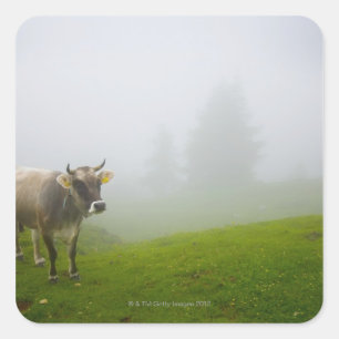 Pegatina Cuadrada veneto italy