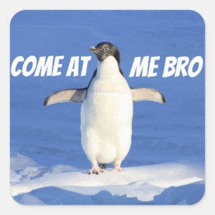 Pegatina Cuadrada Venido en mí pingüino de Bro Meme