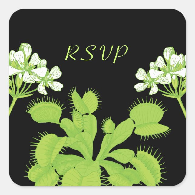 Pegatina Cuadrada Venus Flytrap Flowers RSVP (Anverso)