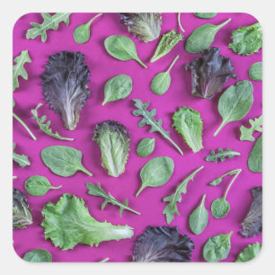 Pegatina Cuadrada Verdes de la lechuga en púrpura