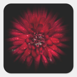 Pegatina Cuadrada Versión de flujo de color de las flores traseras n