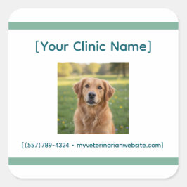 Pegatina Cuadrada Veterinarian Office Sticker | Custom Logo