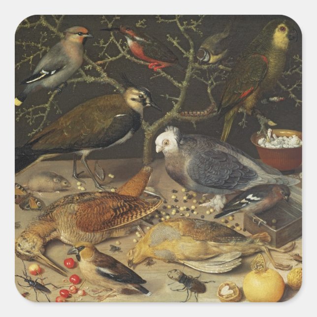 Pegatina Cuadrada Vida de aves e insectos, 1637 (Anverso)