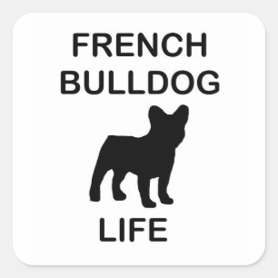Pegatina Cuadrada vida de bulldog francesa