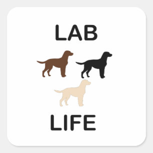 Pegatina Cuadrada vida de laboratorio todos los colores siluetas