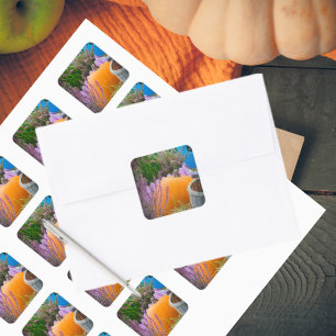 Pegatina Cuadrada Vida en el jardín con calabaza naranja