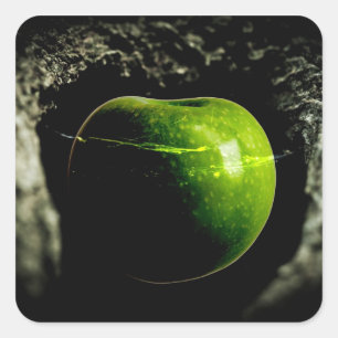 Pegatina Cuadrada vida en la manzana