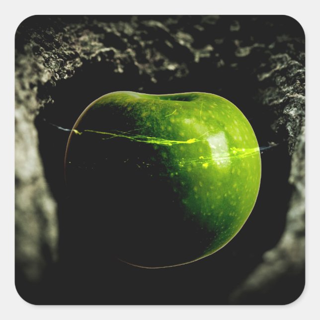 Pegatina Cuadrada vida en la manzana (Anverso)
