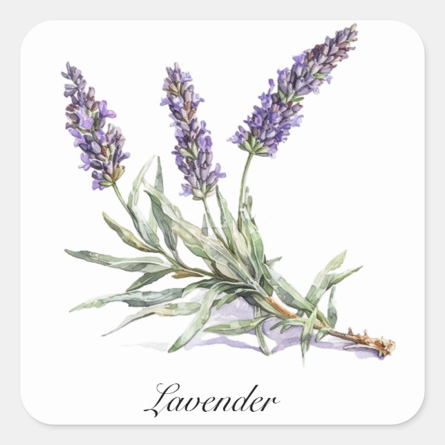 Pegatina Cuadrada Vida herbal: Lavanda, personalizable (Anverso)