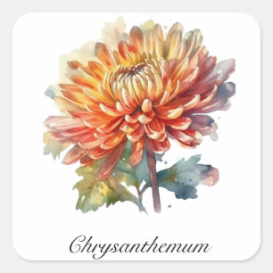 Pegatina Cuadrada Vida herbal: personalizable crisantemo