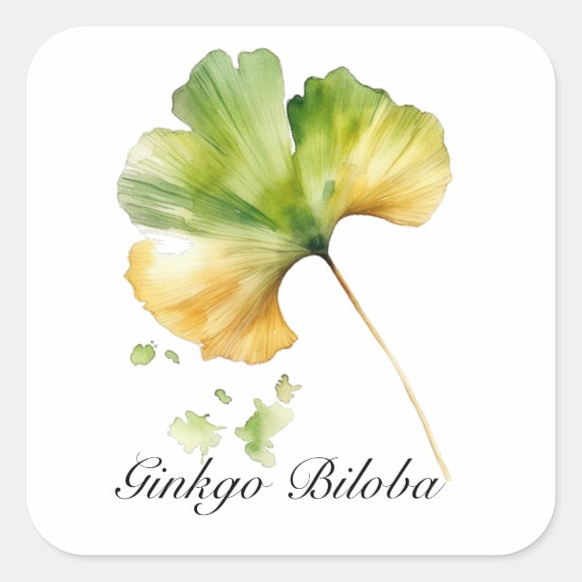 Pegatina Cuadrada Vida herbal: personalizable de hojas Ginkgo Biloba (Anverso)