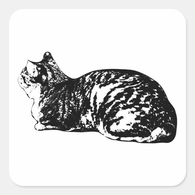 Pegatina Cuadrada Vida hogareña, edición tabby (Anverso)