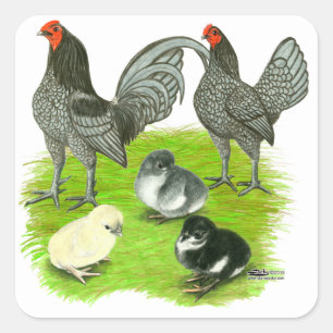 Pegatina Cuadrada Vieja familia de juegos azul inglesa