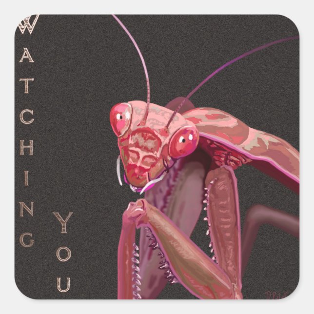 Pegatina Cuadrada Viendo - Versión rosa (Anverso)