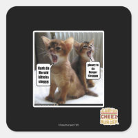 Villancicos de Kitteh