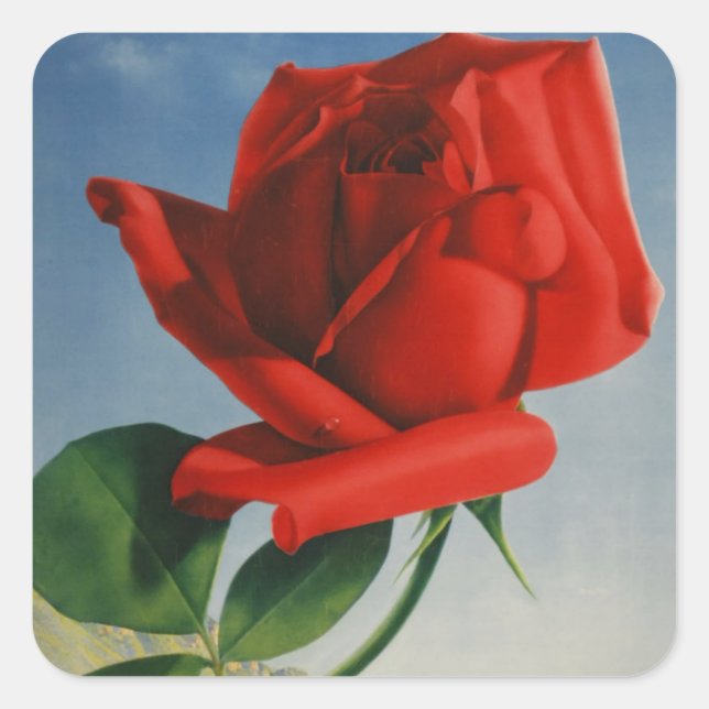 Pegatina Cuadrada Viñage Montreux Red Rose Suiza Lago Ginebra (Anverso)