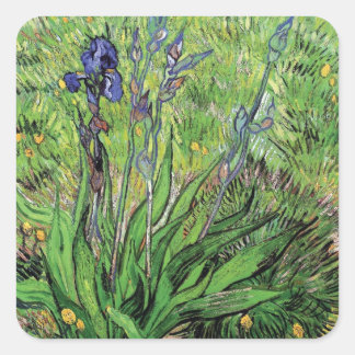 Pegatina Cuadrada Vincent Van Gogh - El Iris Amante de la Naturaleza