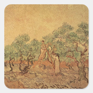 Pegatina Cuadrada Vincent van Gogh   El Olivar, 1889