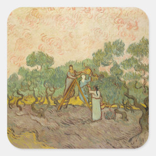 Pegatina Cuadrada Vincent van Gogh - Mujeres recogiendo aceitunas